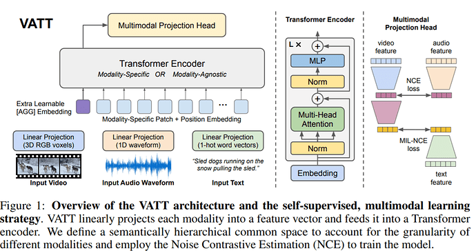 VATT architecture overview